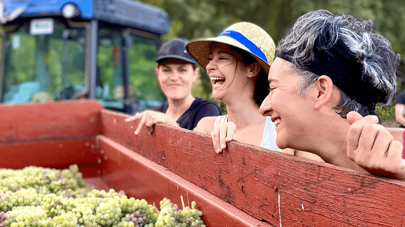 Zoom sur le Domaine de Blanville : Un trio féminin à la tête d'un vignoble d'exception